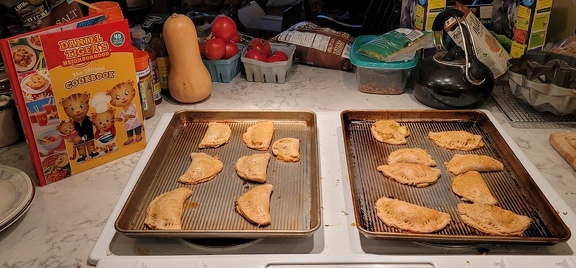 The Platypus Familys Pan Pans