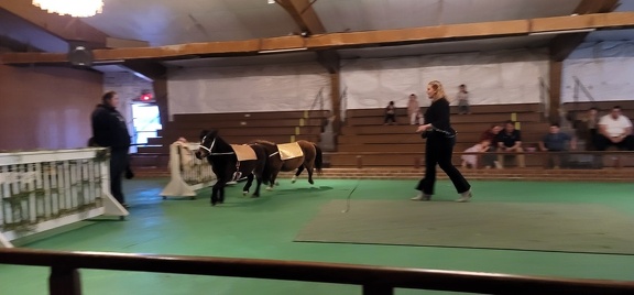 LLH Arena 20230409 162207