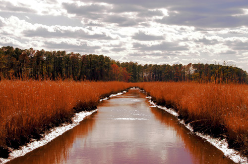 Jamestown Island Back River at sundown