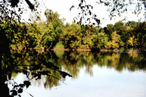 The Potomac River.  By: Heather Ring.